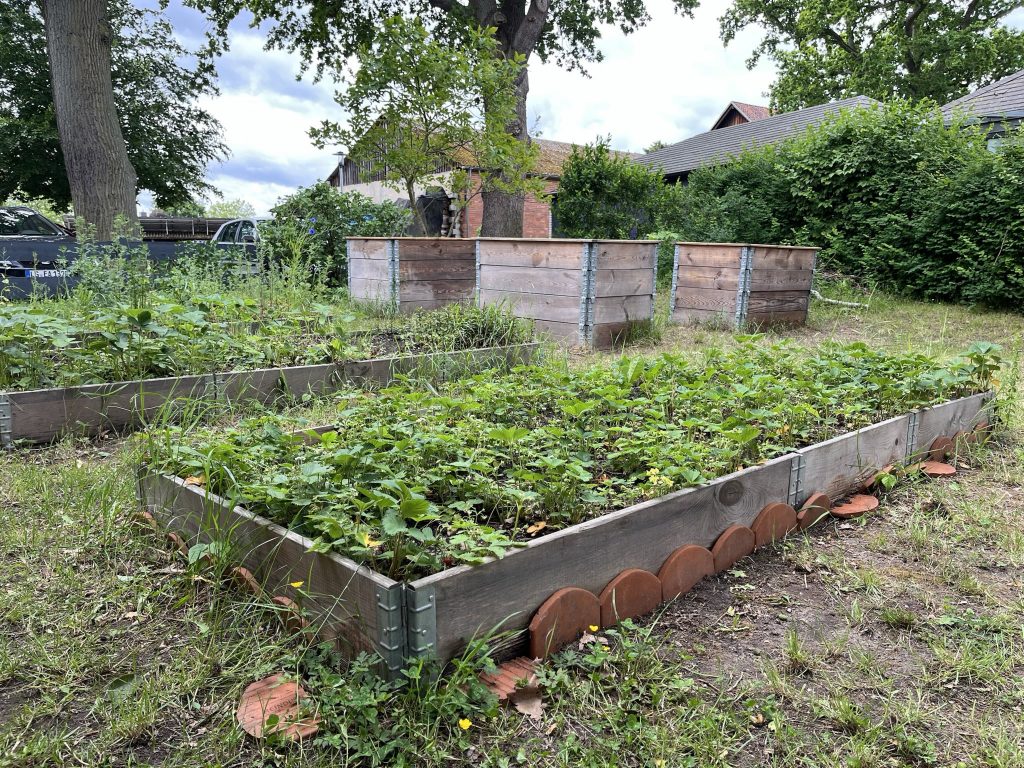 Schulgarten